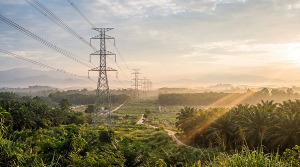 High-voltage transmission pylons carrying power lines across Malaysian countryside fringed with oil palm plantations at golden hour, with haze over distant mountains